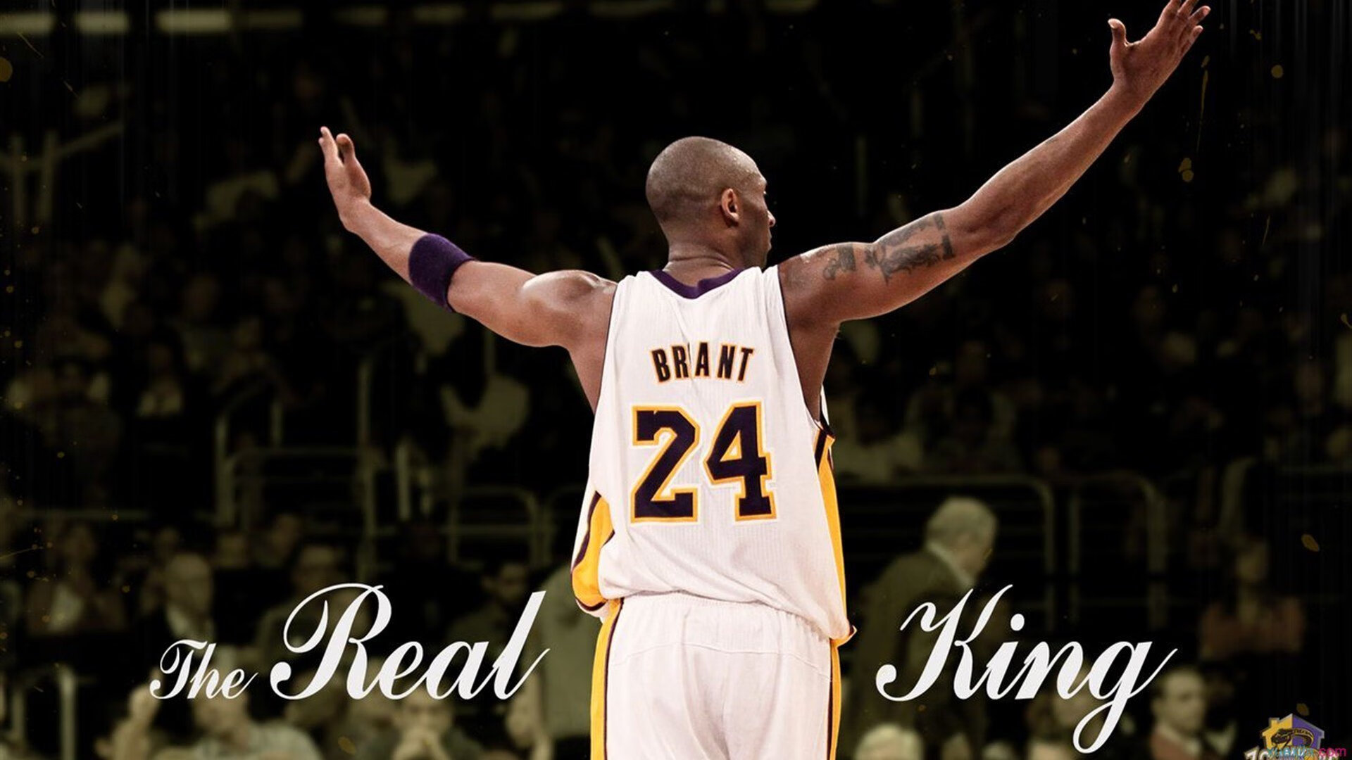 CS2 选手训练营助力新人发展，cs2lua