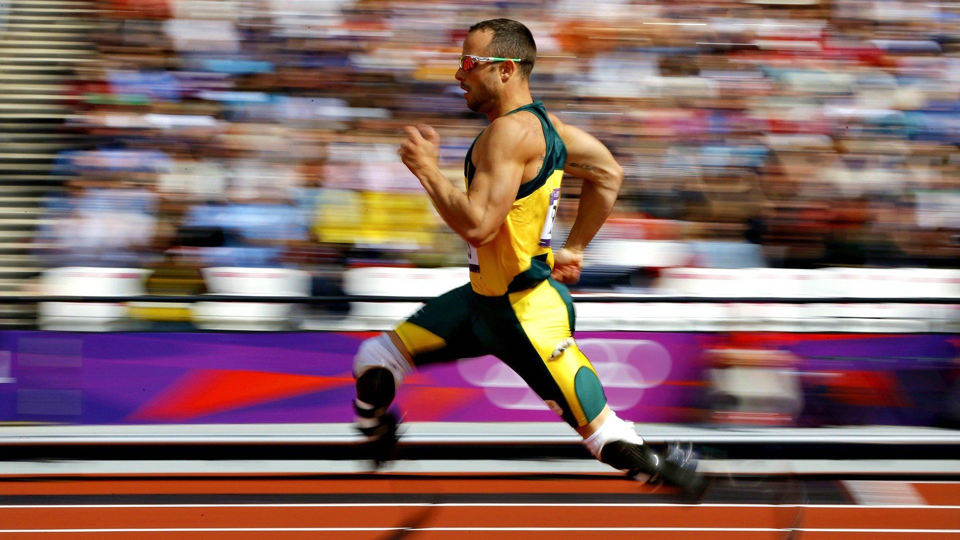 “足球志愿者团队在赛场上发挥重要作用”，足球志愿者总结怎么写