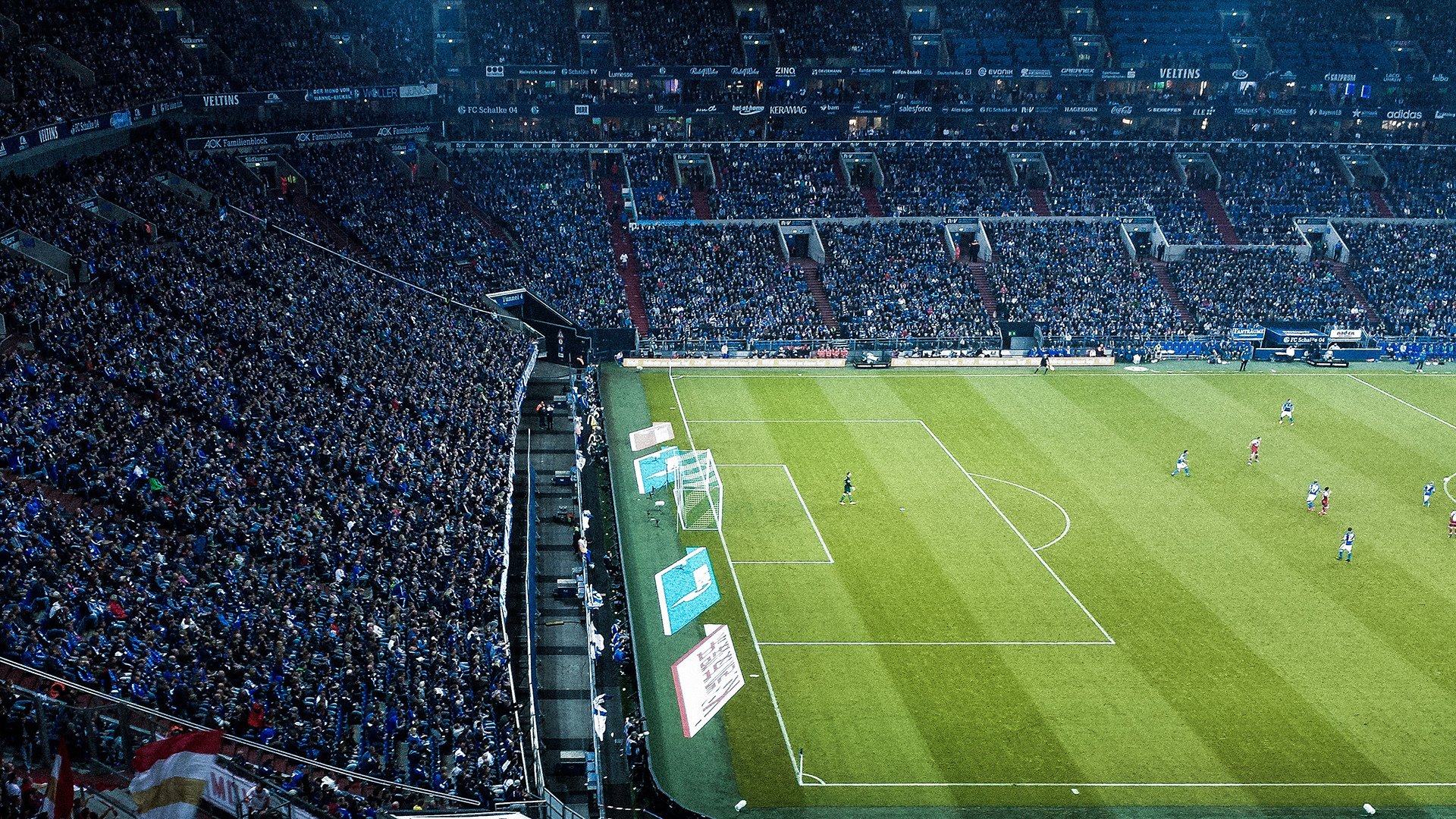 开云体育官方下载-凯尔特人开发球迷互动战术模拟器，主场观赛更沉浸，凯尔特人开球仪式